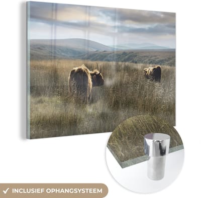 MuchoWow® Glasschilderij 120x80 cm - Schilderij acrylglas - Schotse Hooglanders - Mist - Gras - Foto op glas - Schilderijen