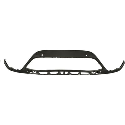 Sier- / Beschermingspaneel, radiateurgrille BLIC 6502-07-5079991P