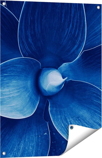 Gards Tuinposter Blauwe Agave Plant - Bloem - 60x80 cm - Tuindoek - Tuindecoratie - Wanddecoratie buiten - Tuinschilderij