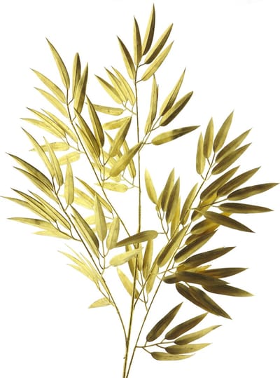 Bamboo spray gold 98cm Erutan Avon