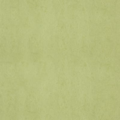 FC Chroma 58-Lime - vliesbehang - 10m x 53cm