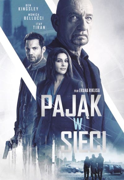 Spider in the Web [DVD]