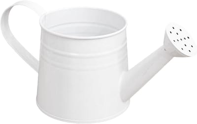 Metalen Tuingieter - Watergieter Sproeier - Planten Water Geven - Verlengd Mondstuk - 26 x 18 x 15 cm - Wit