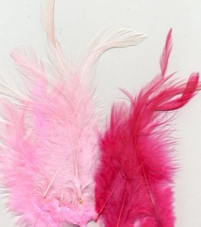 Vaessen Creative Veren - 8,5-15cm - 15stuks - Roze