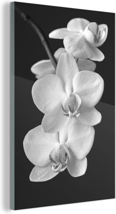 MuchoWow® Glasschilderij - Orchidee met donkere achtergrond - zwart wit - 100x150 cm - Acrylglas Schilderijen - Foto op Glas