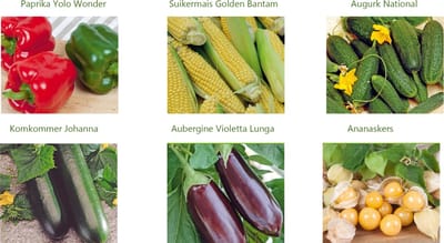 groente zaden set van 6 soorten | Ananaskers | Aubergine | Augurk | Komkommer Johanna | Suikermais | Paprika Yolo Woner