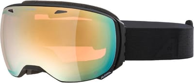 Alpina Big Horn QHM Goggles, black matt