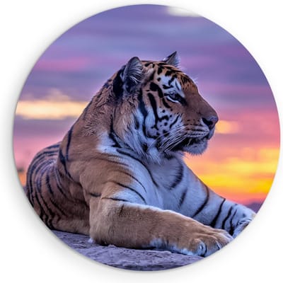 Saammp Muurcirkel Hout - Tijger op steen tijdens zonsondergang - Natuur - Dieren - Ø 90 - Wandcirkel - Wanddecoratie Cirkel - muurdecoratie Woonkamer - Slaapkamer decoratie - Rond Schilderij