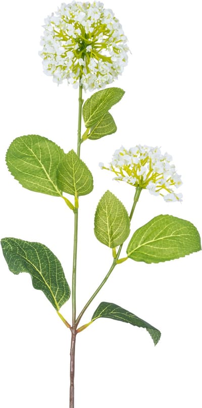 Easyplants | Kunstbloem Sneeuwbal/Viburnum 70 cm groen/wit | Zijde | Nepbloemen | wit | Onderhoudsvrij | Kant-en-klaar