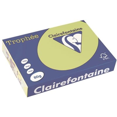 Clairefontaine Trophée gekleurd papier, A4, 80 g, 500 vel, golfgroen