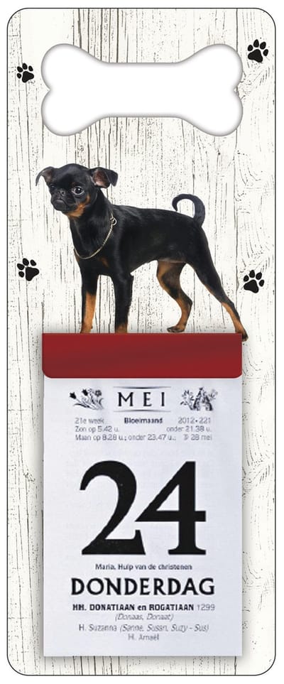 Scheurkalender 2027 Hond: Petit Brabancon