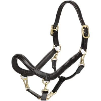 Leren halster voor paarden LeMieux Grooming