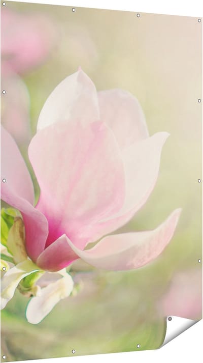 Gards Tuinposter Roze Magnolia Bloem - 120x180 cm - Tuindoek - Tuindecoratie - Wanddecoratie buiten - Tuinschilderij