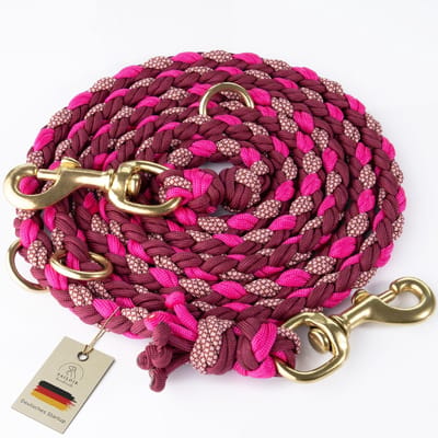 Dailygoods- Hondenriem 2m - Verstelbaar Paracord - Bijtbestendig - Dubbele Clip - Anti Chew - Duurzaam en weerbestendig - Hondentuig