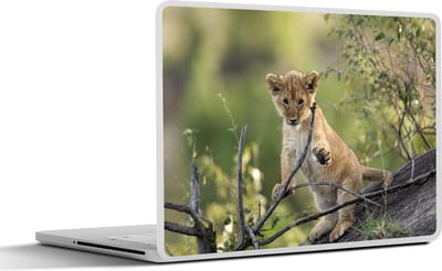 Laptop sticker - 13.3 inch - Leeuw - Welp - Takken - 31x22,5cm - Laptopstickers - Laptop skin - Cover