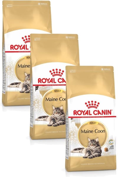 Royal Canin Maine Coon Adult - Kattenvoer - 3 x 2 kg