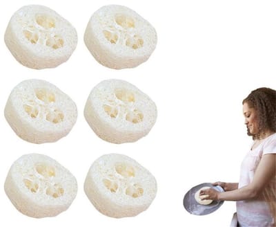 Dailygoods- Zeepbakje Antislip - 6 Stuks - Zeepbeschermer - Poreus Ontwerp - Biologisch Afbreekbaar - Waterabsorberend - Zeepdispenser