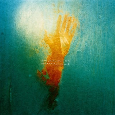 James Johnston & Steve Gullick - Everybody's Sunset (LP) (Limited Edition)