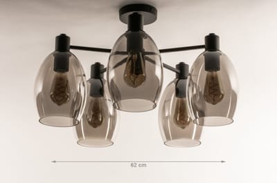 Lumidora Plafondlamp 74607 - Plafonniere - DRUP - 5 Lichts - E27 - Zwart - Grijs - Metaal