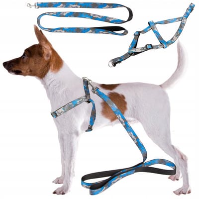 OUYAYING SMYCZ 2.0 - Snel verstelbare harnas - Voor kleine en middelgrote honden - Comfortabele grip