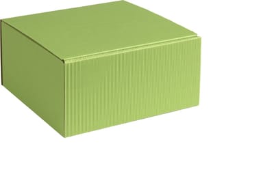 Geschenkdoos ribbelkarton 20x19x10cm LICHTGROEN (35 stuks)