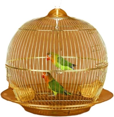 Ronde Vogelkooi - Vliegkooi Kooi - Huisdieren Houden - Groot Ruimteaanbod - 38x38cm - Goud