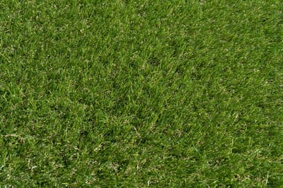 Kunstgras 4 x 18 meter - 30mm ✅ Nederlandse Productie - Uitgeroepen zachtste Grastapijt ✅ Waterdoorlatend | Tuin | Kind | Dier