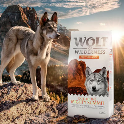 Wolf of Wilderness "Explore The Mighty Summit" - Performance Hondenvoer - 400 g: Nieuw Recept