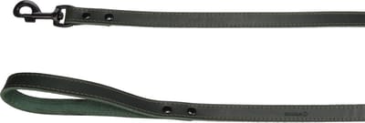 Hond Looplijn Montana Groen 1,3m 20mm