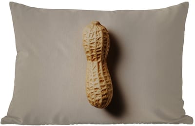 Buitenkussens - Tuin - Pinda - Ruw - Beige - 50x30 cm