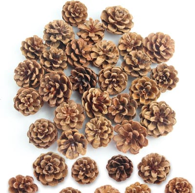 Natural Pine Cones, 32 Pieces Mini Christmas Pine Cones, 3-4 cm, Decoration, Pine Cones, Suitable for DIY Christmas - ShopVlot