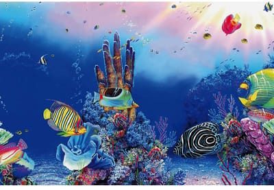 SuperFish Deco Poster F 120x61CM
