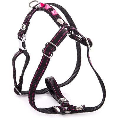 Fluo Harnas voor Hond Martin Sellier