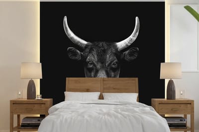 Behang - Fotobehang Dieren - Stier - Zwart - Wit - Portret - Breedte 300 cm x hoogte 300 cm