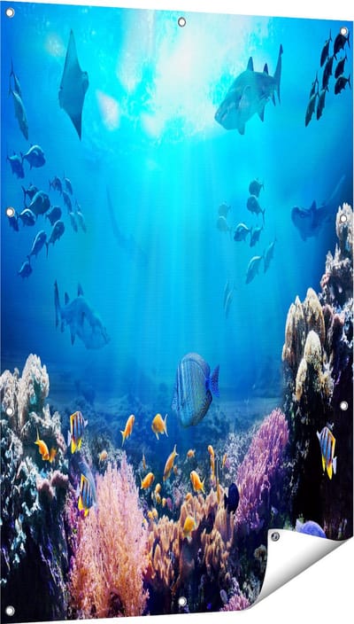 Gards Tuinposter Vissen met Haaien in de Oceaan met Koraalrif - 80x120 cm - Tuindoek - Tuindecoratie - Wanddecoratie buiten - Tuinschilderij