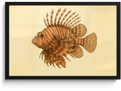 Poster in lijst - Fotolijst 60x40 cm - Posters - Strepen - Vis - Rond - Stekels - Posterlijst zwart - Decoratie - Wanddecoratie woonkamer - Muurdecoratie slaapkamer