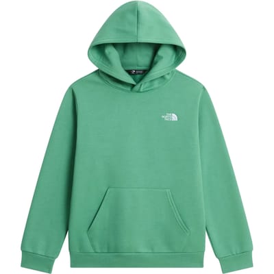 Junior Hoodie The North Face Evolution Simple Dome