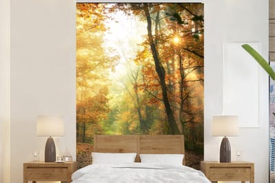 Behang - Fotobehang Bos - Herfst - Zon - Landschap - Natuur - Bomen - Bladeren - Breedte 200 cm x hoogte 300 cm