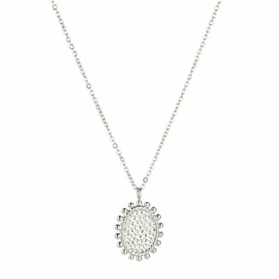 Michelle Bijoux - Ketting - Leo - Muntje - Zilverkleur - Stainless Steel