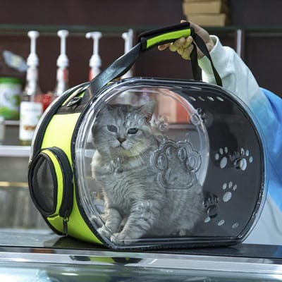 Opvouwbare Draagbare Ruimtecapsule Huisdierentas Katten Tas Nieuwe Oxford Stof Crossbody Draagbaar Ademend en Comfortabel Kat Rugzak 42*30*25cm gray