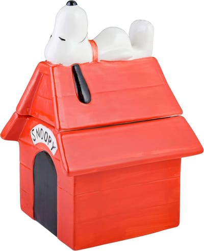 Snoopy Huisje 10
