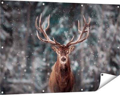 Gards Tuinposter Hertenkop - Hert in de Sneeuw - 120x80 cm - Tuindoek - Tuindecoratie - Wanddecoratie buiten - Tuinschilderij