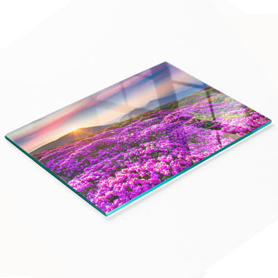 Decoratieve serveerplank van glas met bloemen in de bergen, 80x52 cm