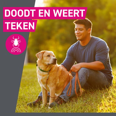 Frontline Tri-Act Anti Vlooien en Teken Druppels L - 2 x 3 pipetten - Voordeelverpakking