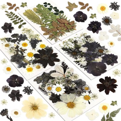 Unyqoos® Set van 100 gedroogde bloemen voor creatieve doe-het-zelf projecten en decoratie
