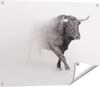 Gards Tuinposter Stier op een Grijze Achtergrond - Zwart Wit - 80x60 cm - Tuindoek - Tuindecoratie - Wanddecoratie buiten - Tuinschilderij