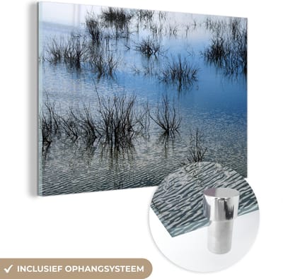 ® Glasschilderij 180x120 cm - Schilderij acrylglas - Riet in het water van het Spaanse Nationaal park Tablas de Daimiel - Foto op glas - Muurdecoratie woonkamer - Wanddecoratie slaapkamer - Schilderijen