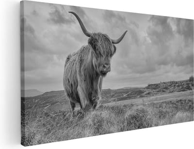 Artaza Canvas Schilderij Hooglander - 60x30 cm - Muurdecoratie Natuur - Wanddecoratie Woonkamer - Kamer Accessoires