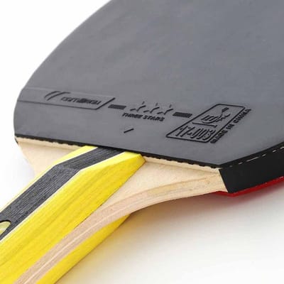 Tafeltennisbat 3 Sterren Geschikt Voor Beginners en Gevorderden