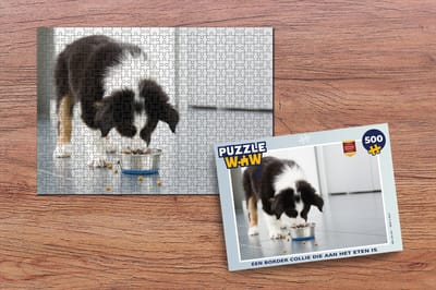 Puzzel Een border collie die aan het eten is - Legpuzzel - Puzzel 500 stukjes